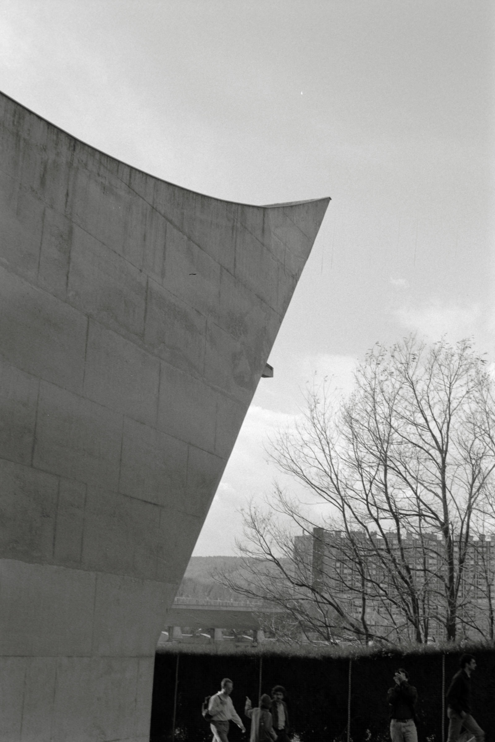 AHP F1995 10 004 sc240816 img34 NLP